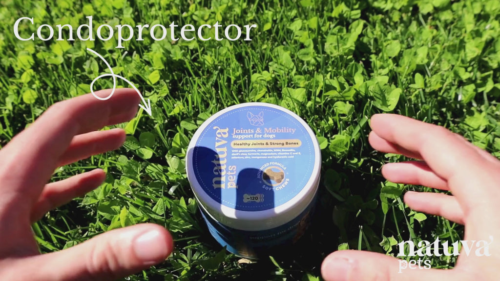 Condroprotector para perros. Soporte articular y movilidad